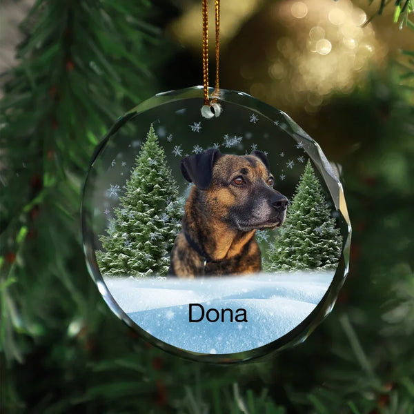Custom Photo - Memorial Personalized Custom Circle Glass Ornament - Christmas Gift, Sympathy Gift For Pet Owners, Pet Lovers
