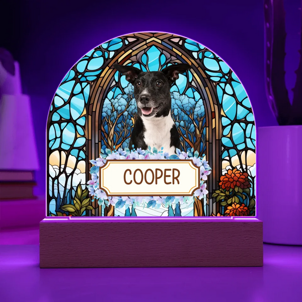 Personalized Acrylic Dome Plaque with LED Base - Memorial Gift for Pet Lovers