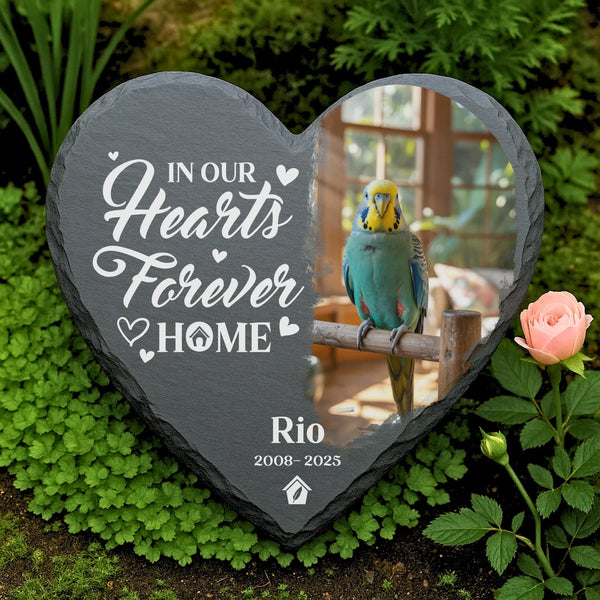 Personalized Parakeet Memorial Stone - Custom Bird Loss Gift, Budgie Remembrance Plaque, Pet Bird Tribute