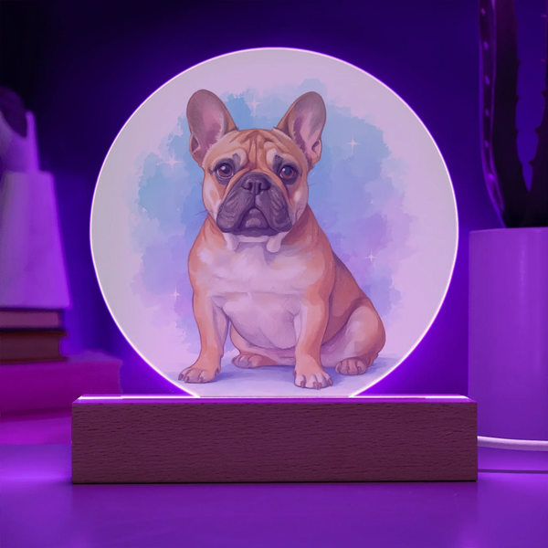 Soft Pastel Pet Portrait LED Acrylic Circle Plaque – Custom Photo Memorial Night Light
